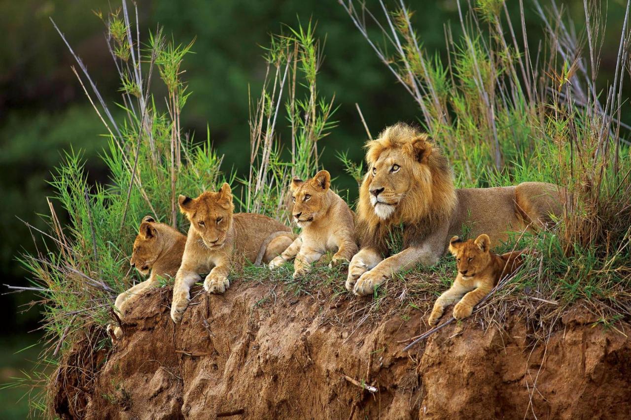 Vila Kapama Karula Kapama Game Reserve Exteriér fotografie