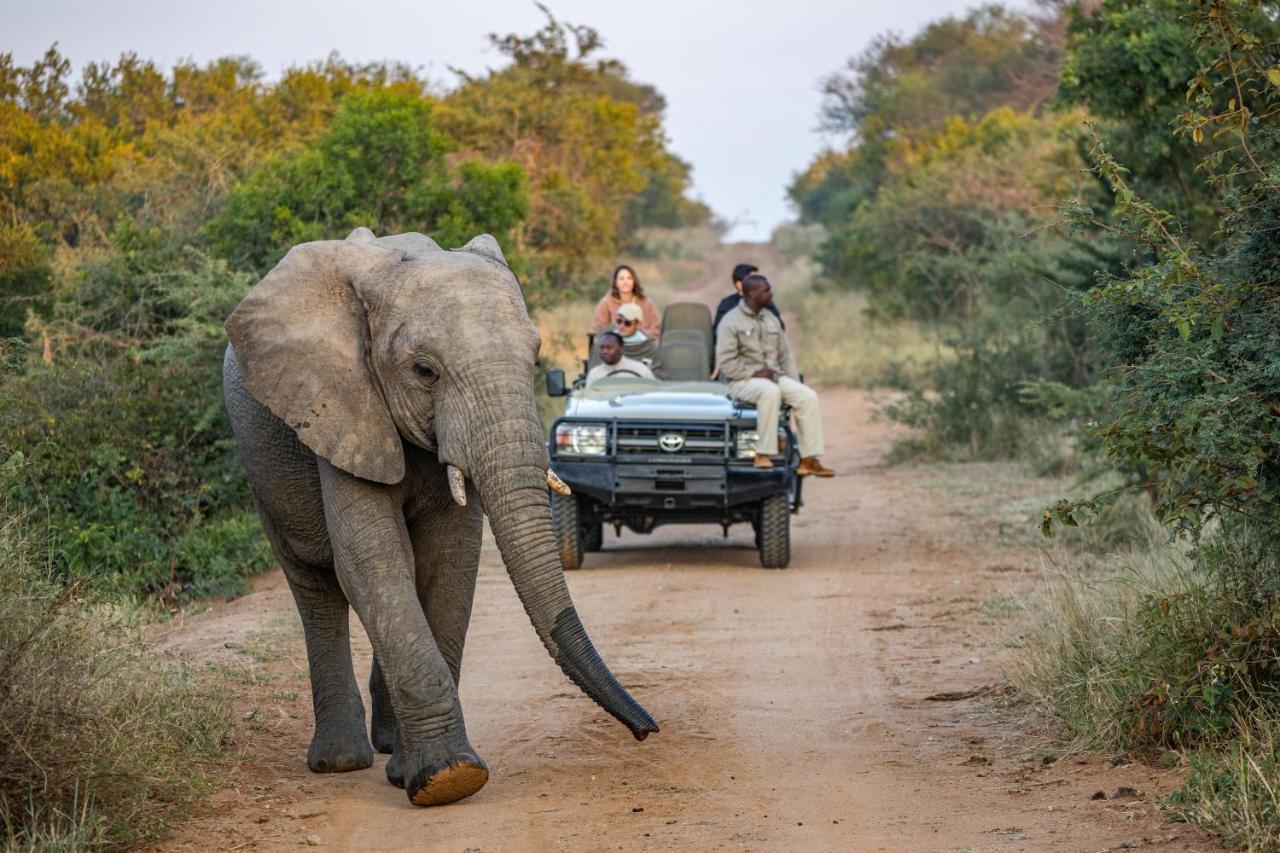 Vila Kapama Karula Kapama Game Reserve Exteriér fotografie
