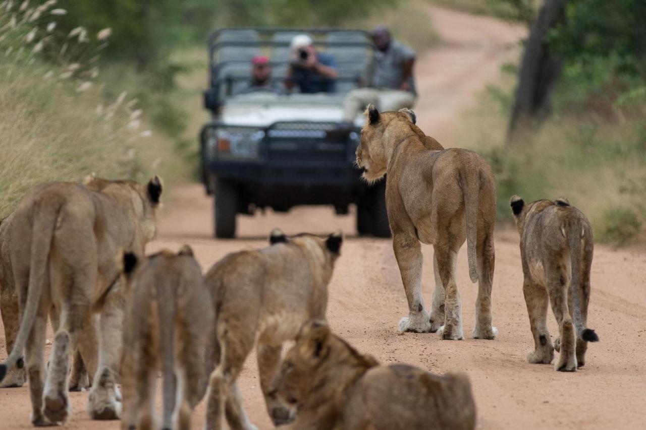 Vila Kapama Karula Kapama Game Reserve Exteriér fotografie